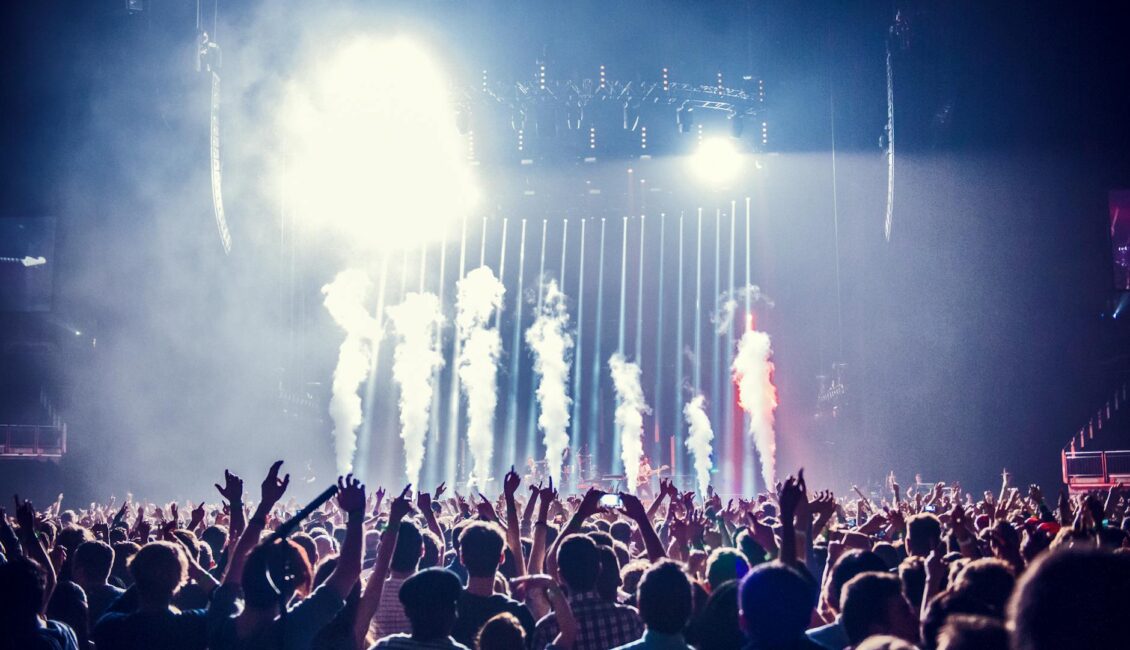 group of people watching concert